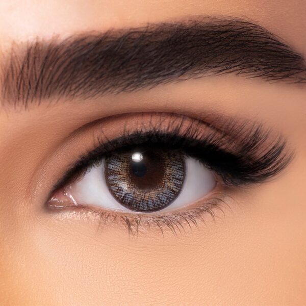 FreshLook One-Day Gray