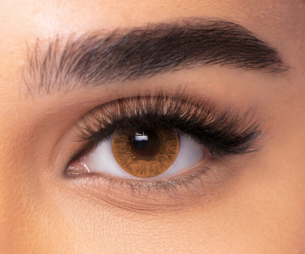 FreshLook hazel