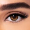 FreshLook One-Day Colorblends – Pure Hazel