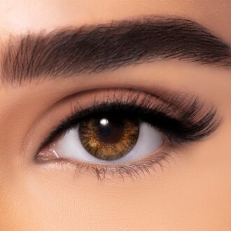 FreshLook One-Day Colorblends – Pure Hazel